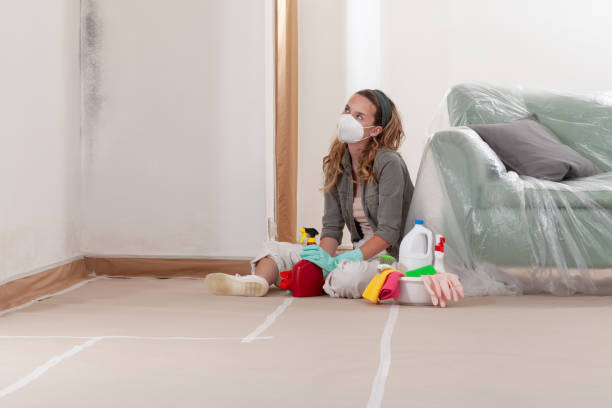 Reliable Mold Testing contractor in Salem, IL by WQB Mold Removal